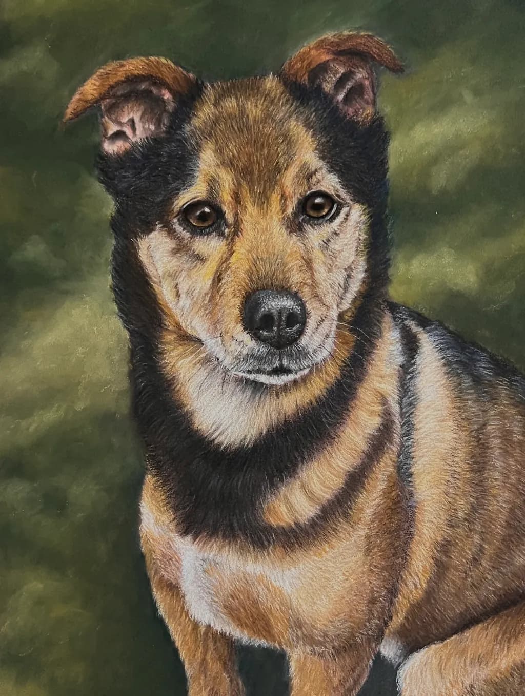 Brown Dog Portrait