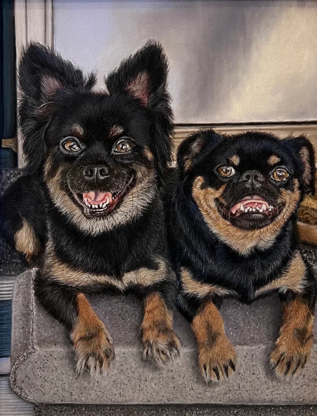 Twin Dogs Smile