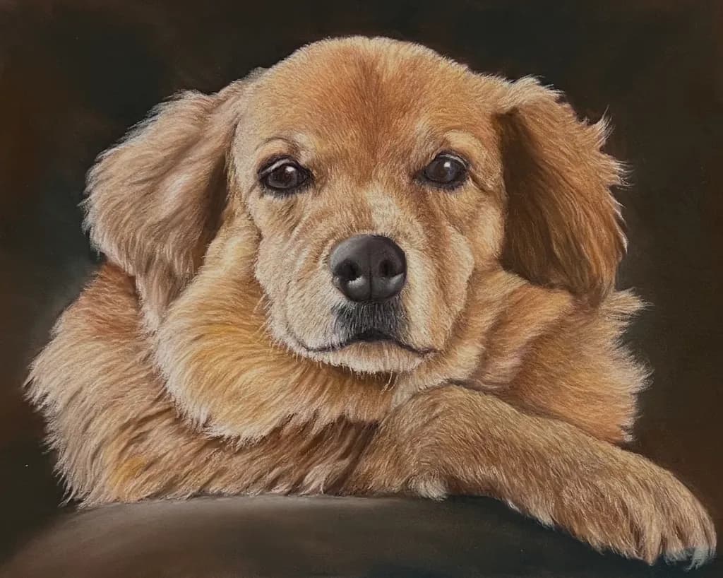 Golden Retriever Portrait