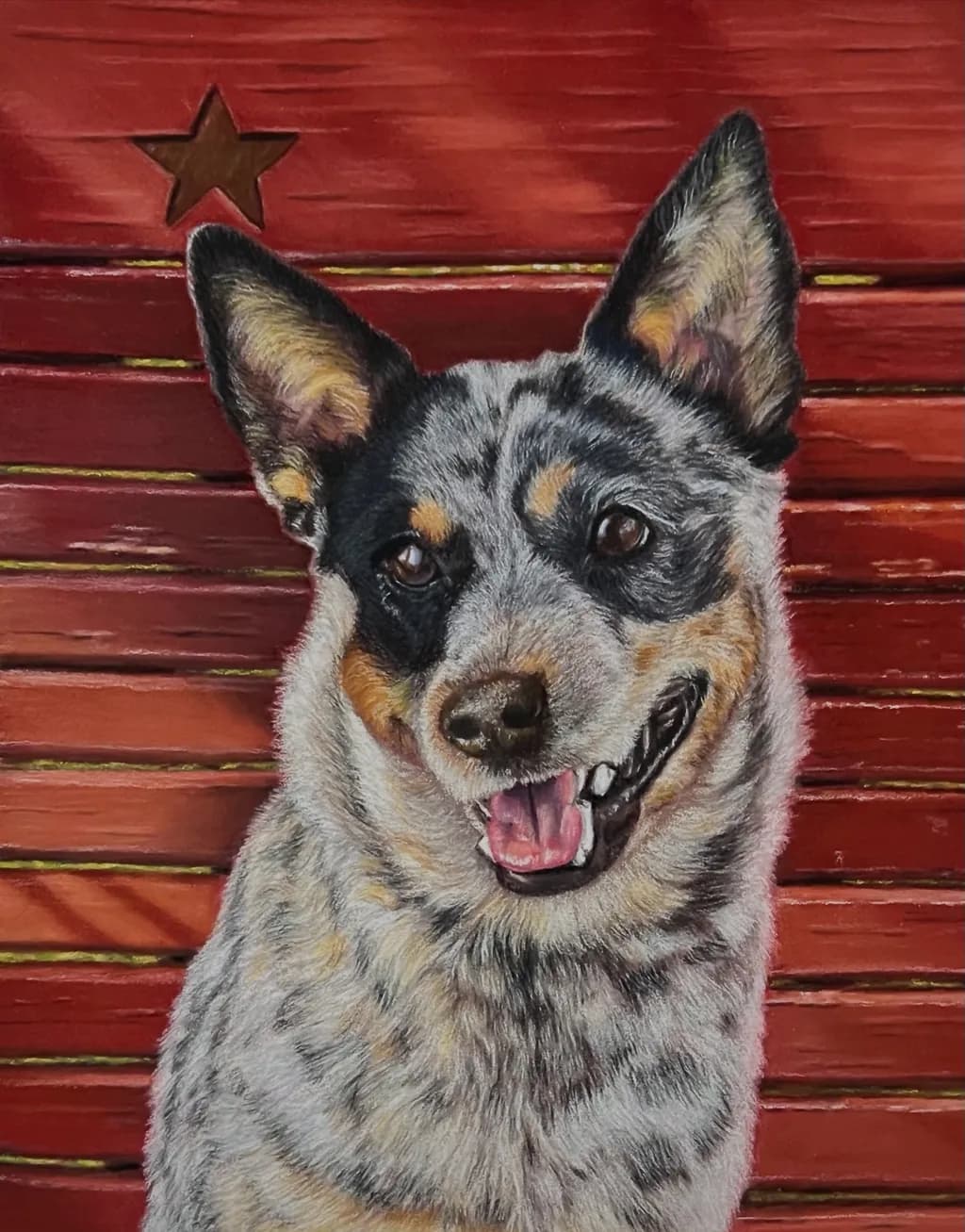 Blue Heeler Portrait