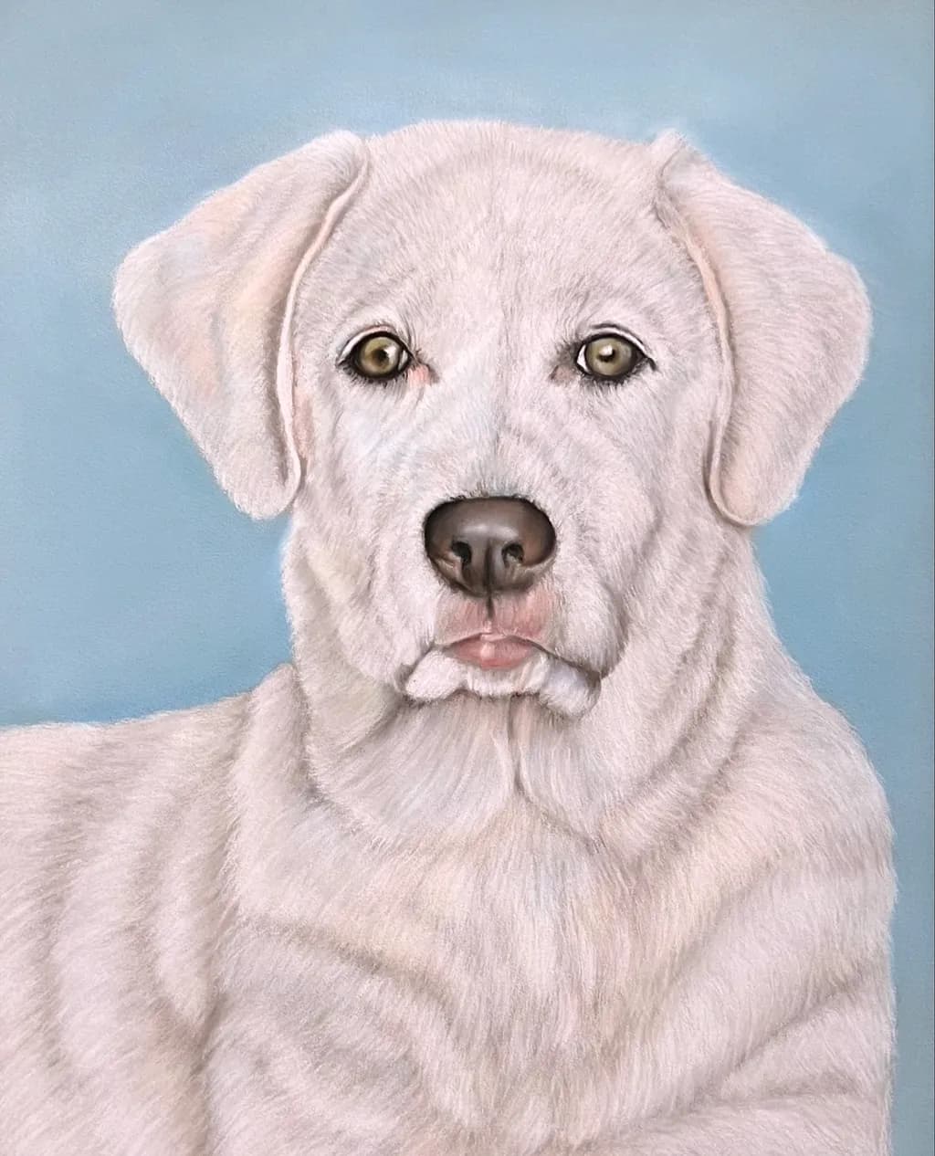 White Dog Portrait