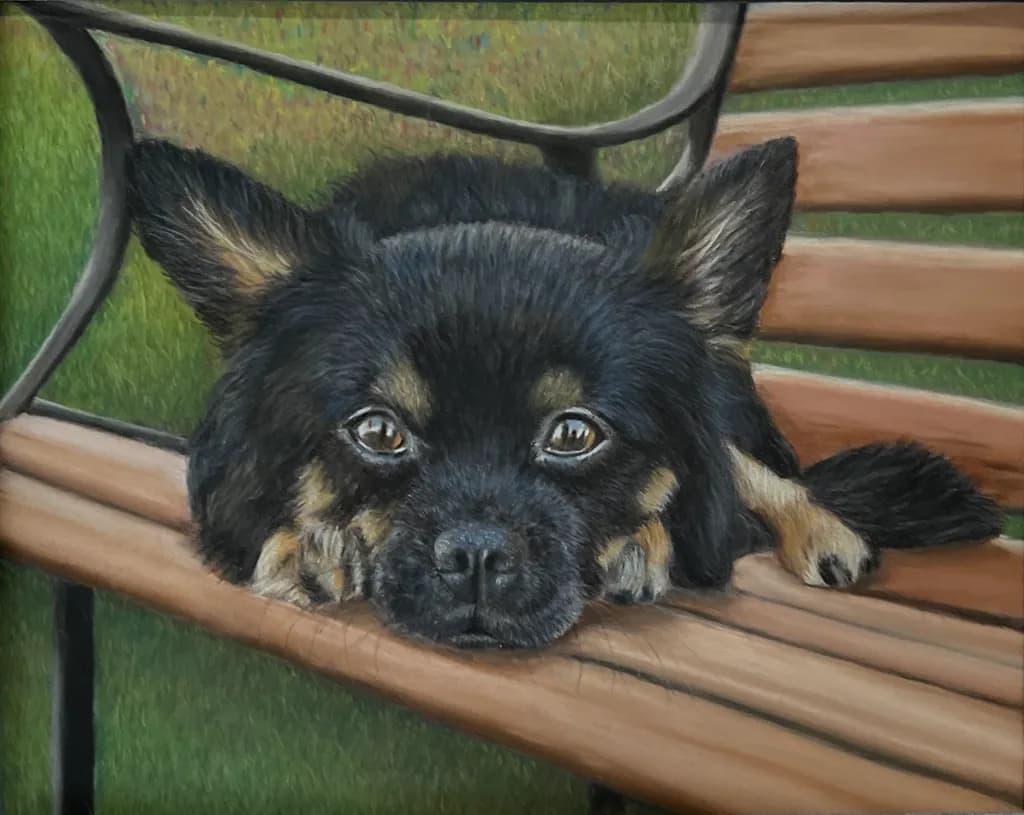 Bench Resting Dog