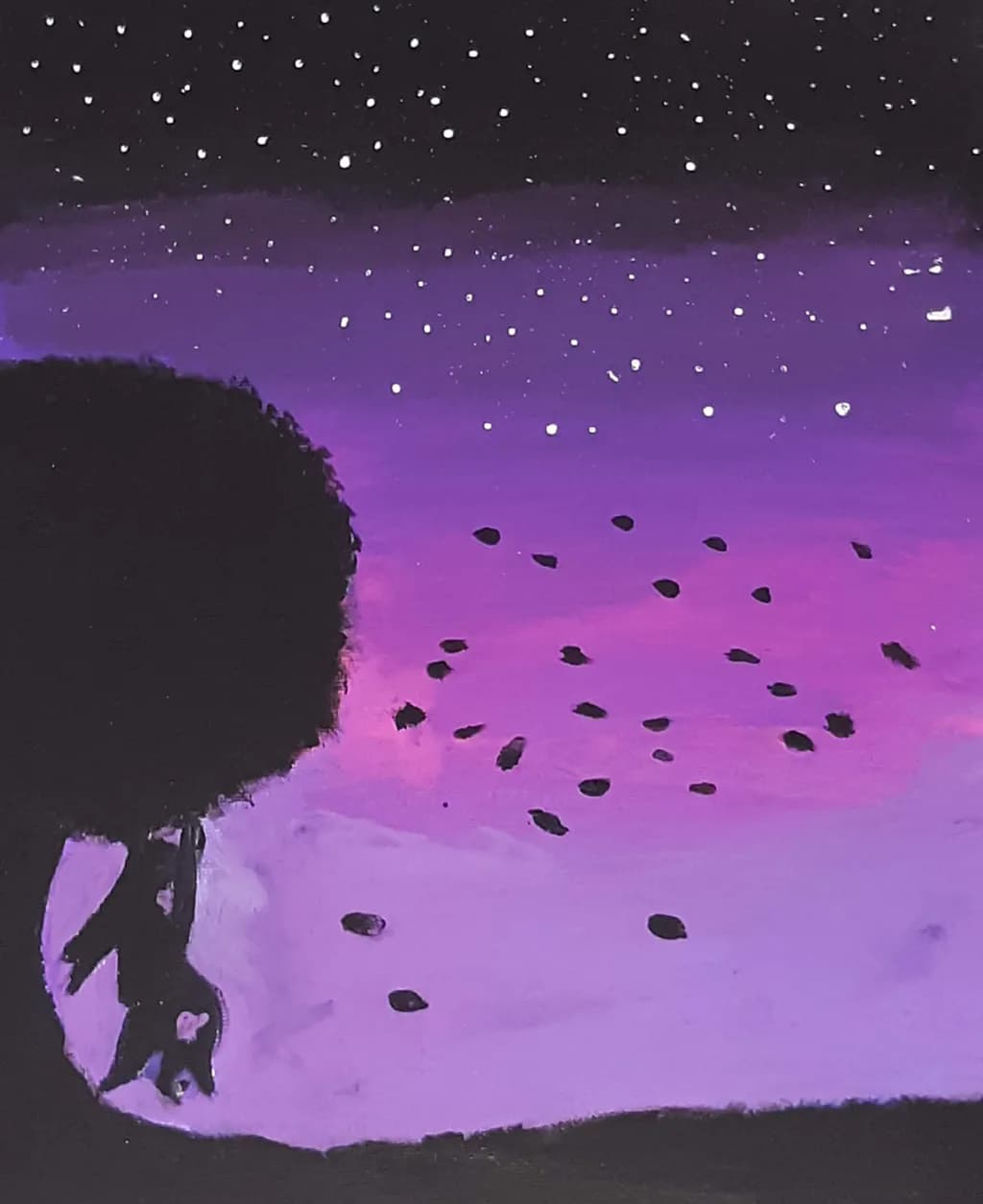 Night Sky Silhouette