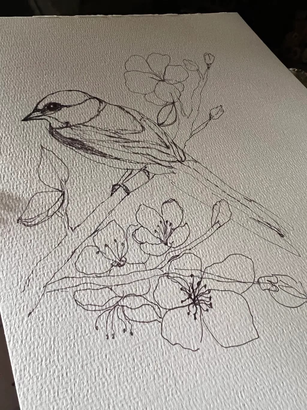 Bird on Blossoms
