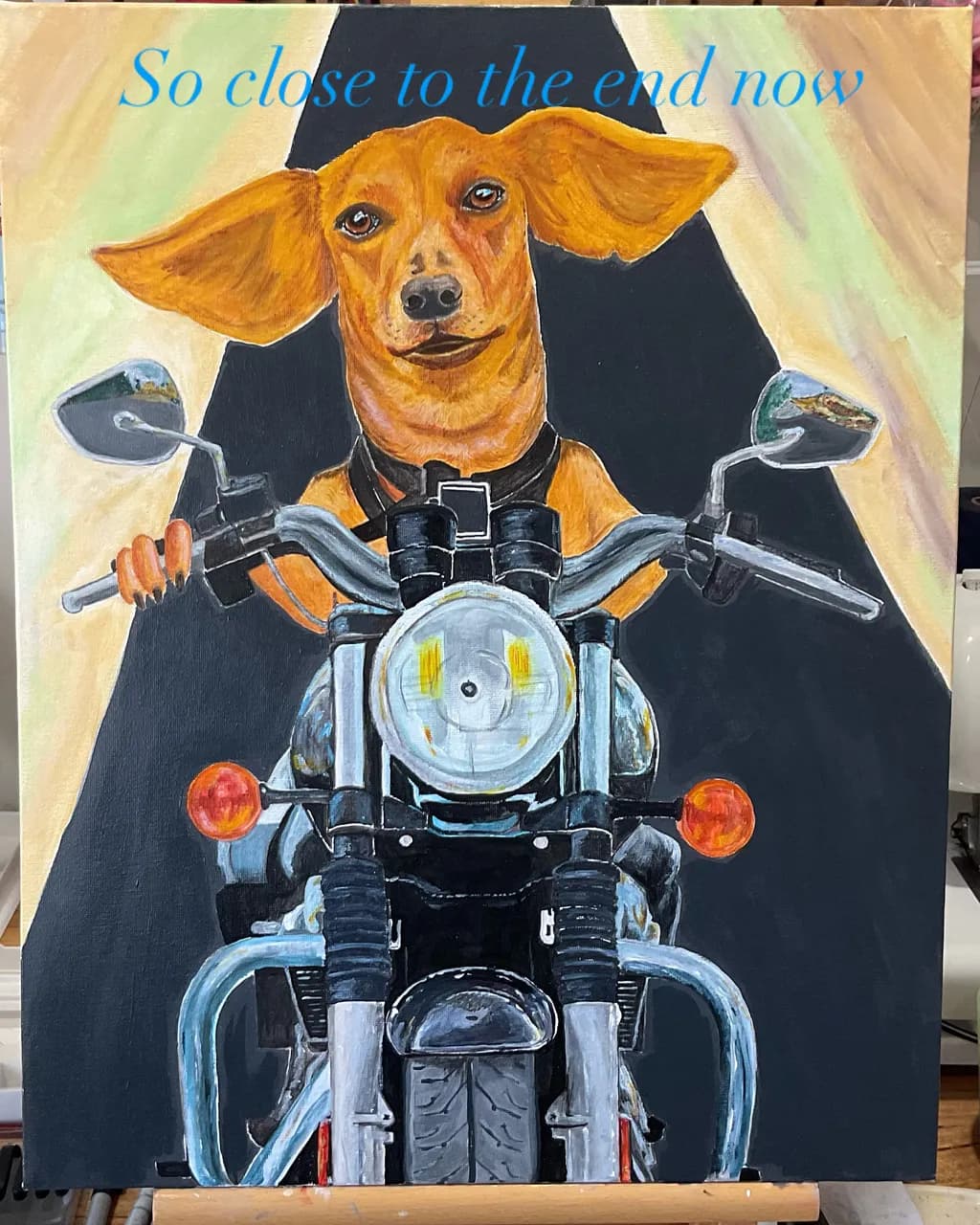 Dog Rider on Motorcycle