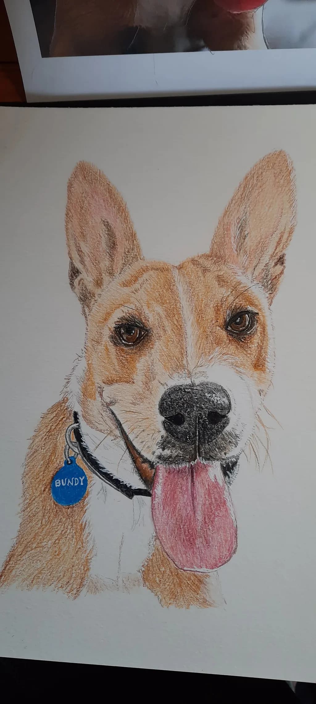 Bundy Dog Portrait