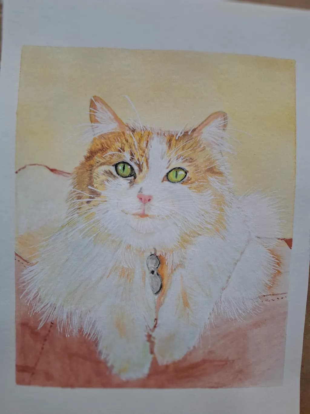 Fluffy Cat Portrait