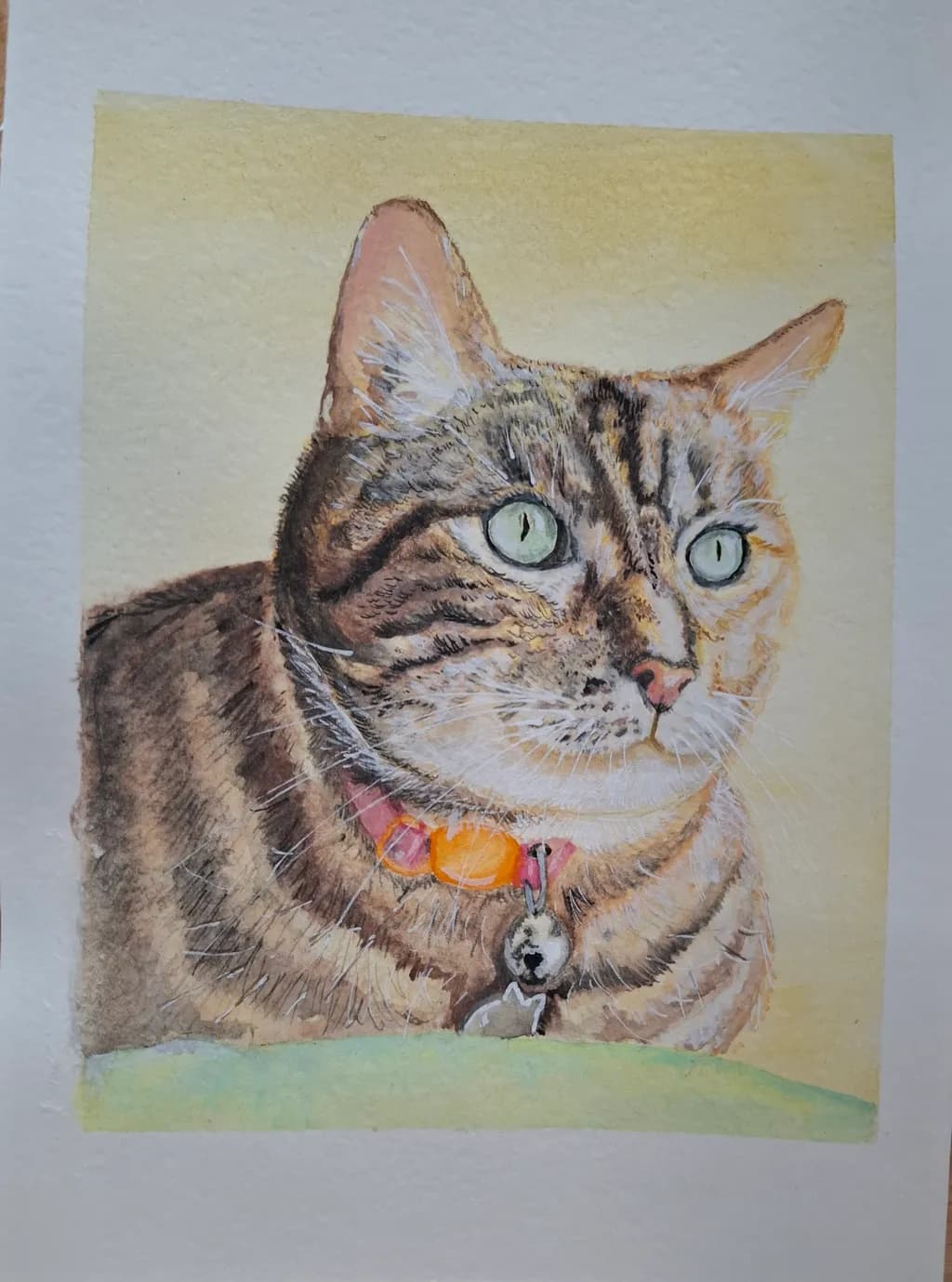 Cat Portrait