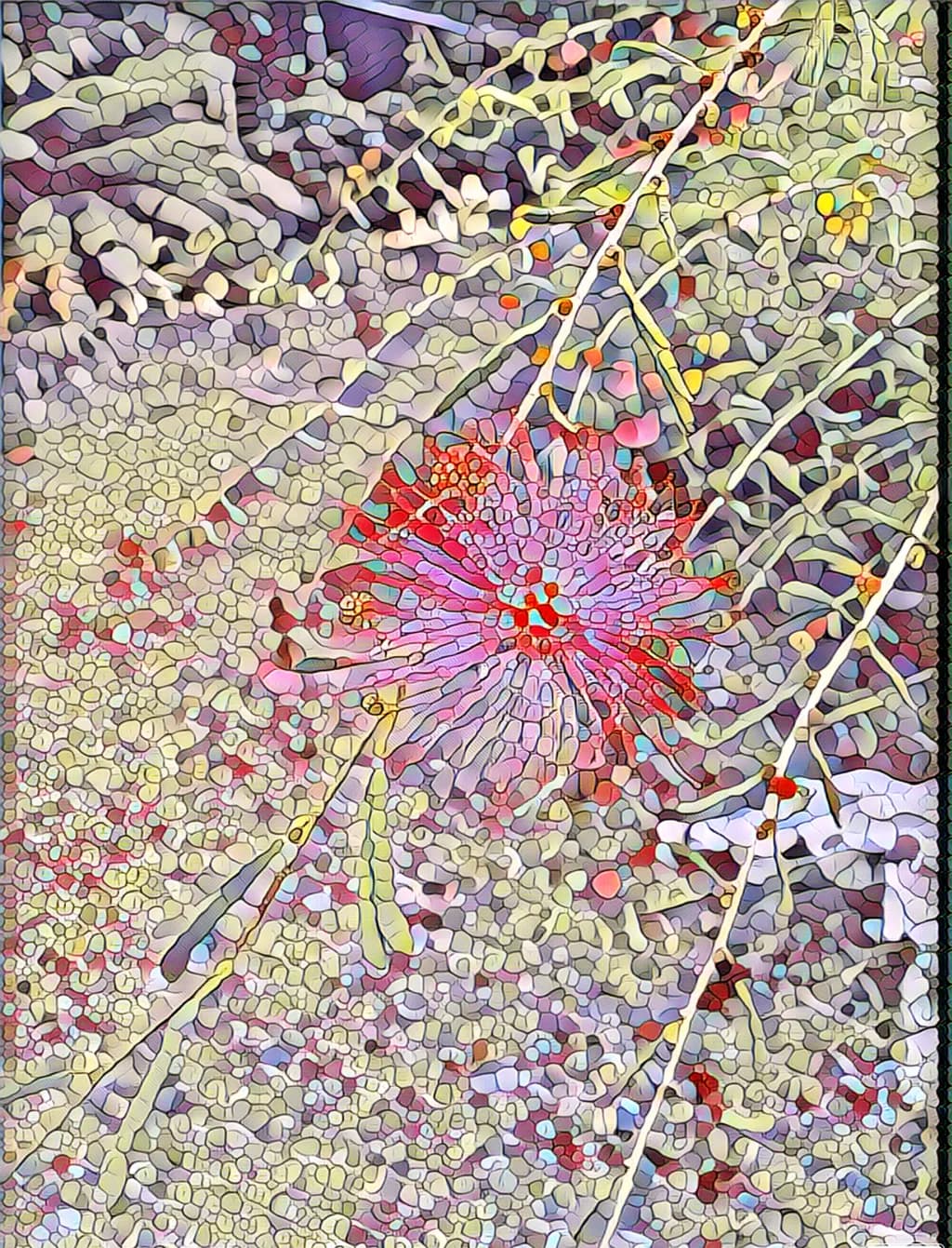 Branch and Red Bloom