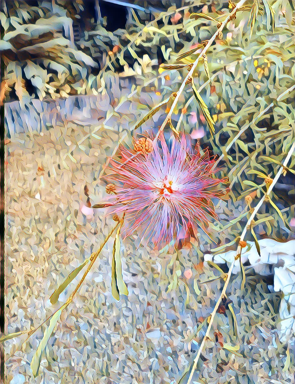 Floral Burst