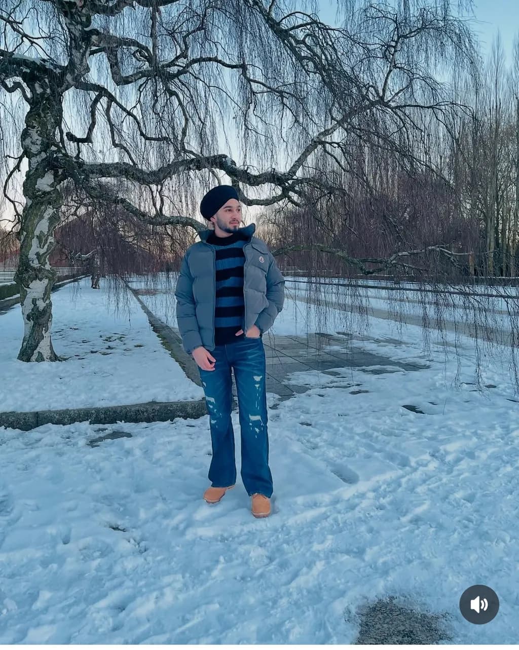 Winter Tree Stroll