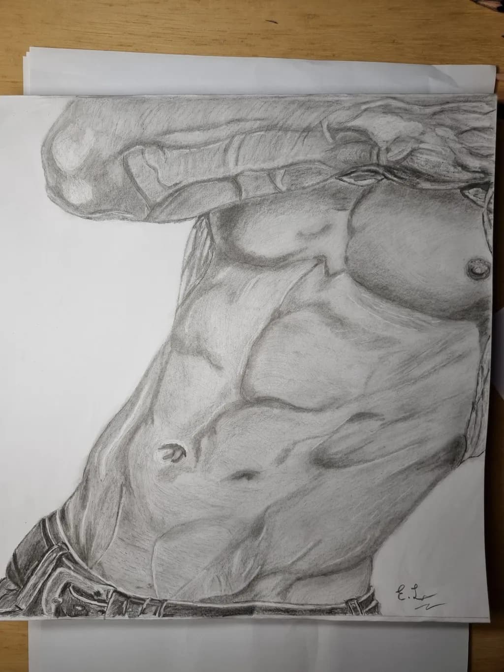 Torso Study