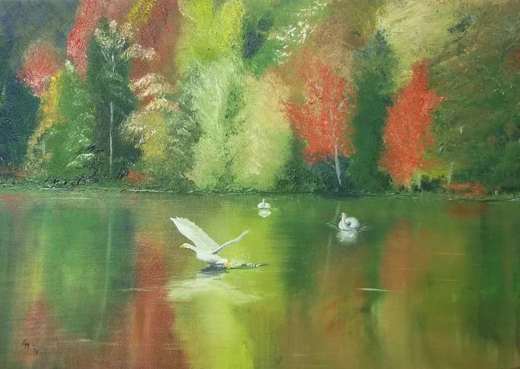 Lake Swans Reflection