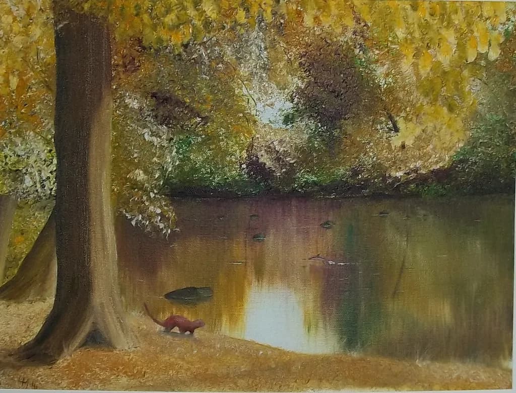 Forest Lake Reflection
