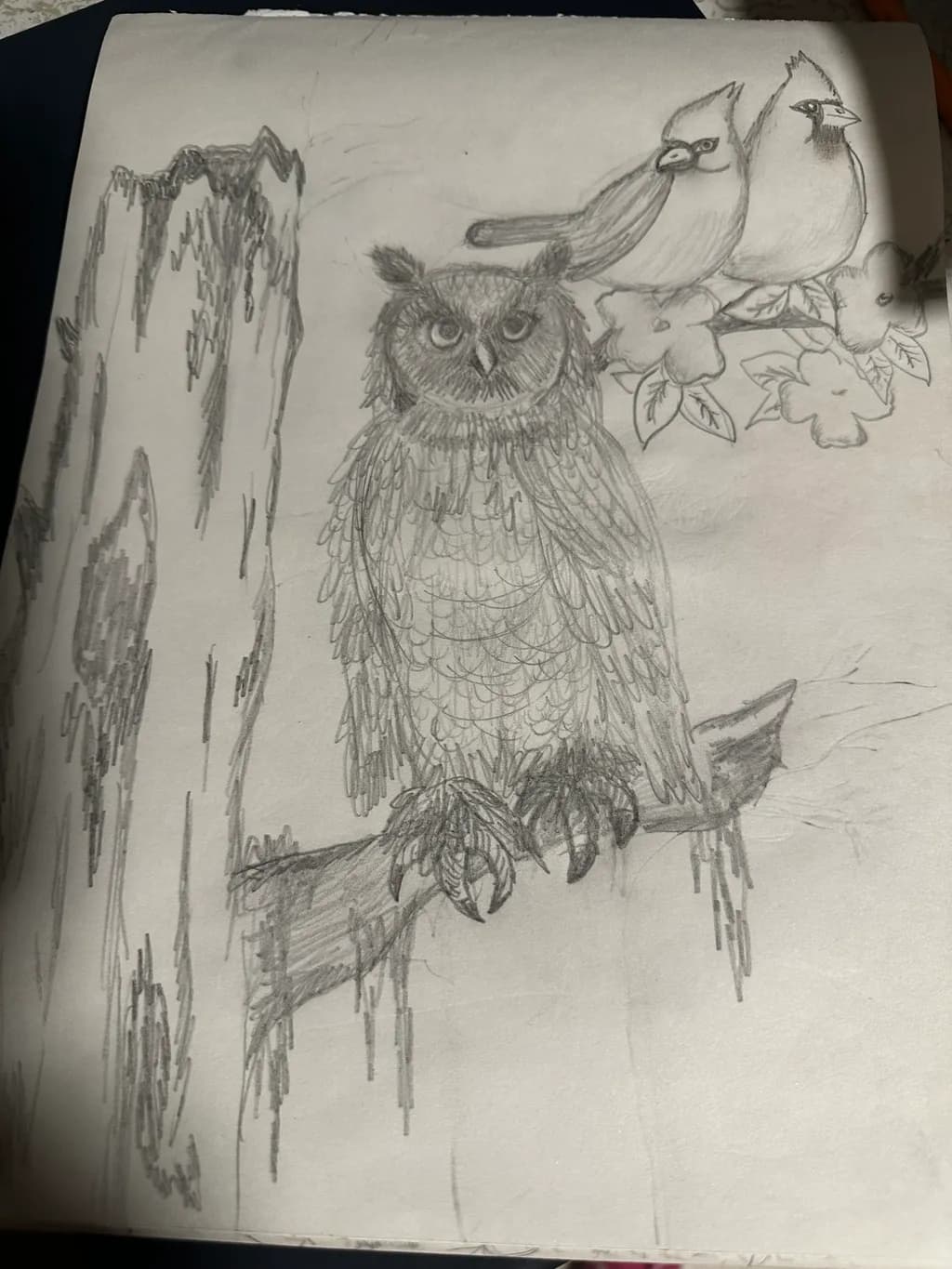 Owl and Cardinals on Branch