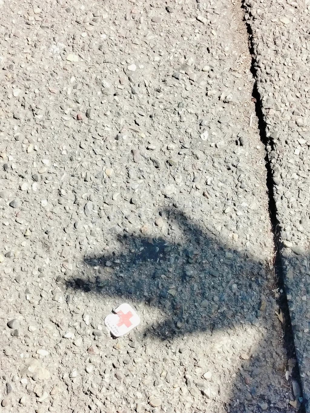Shadow Hand on Pavement