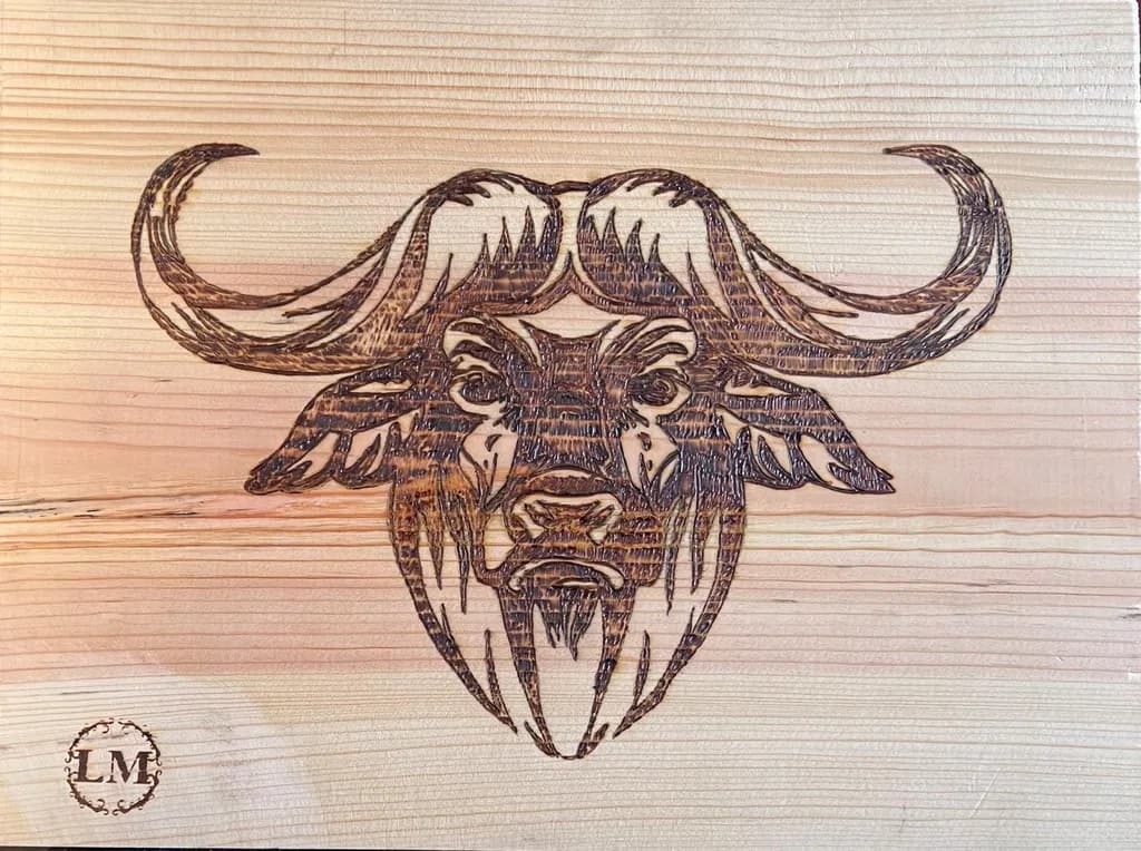 Buffalo Wood Etching