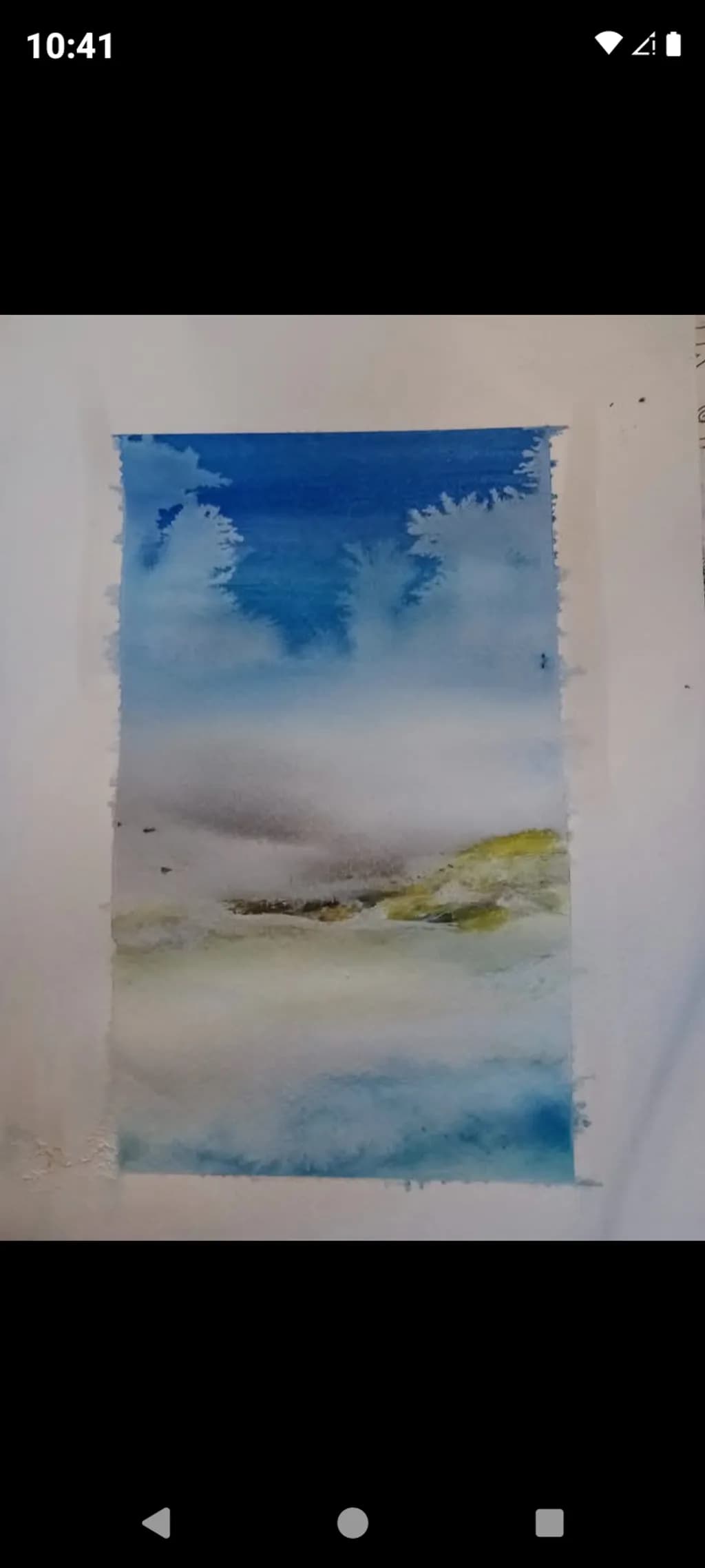 Misty Landscape