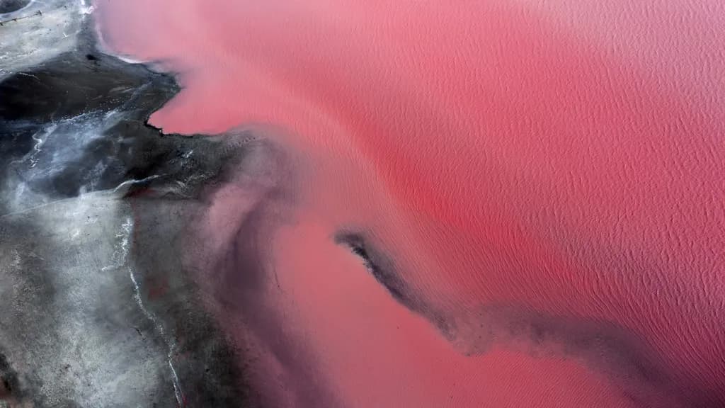 Pink Salt Lake