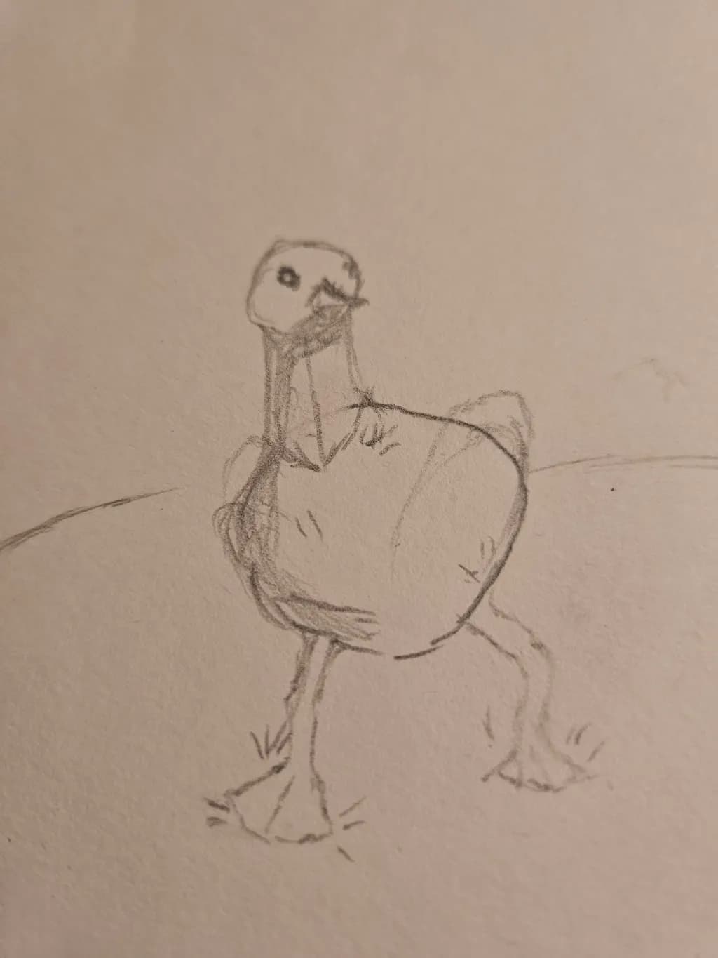 Curious Duckling