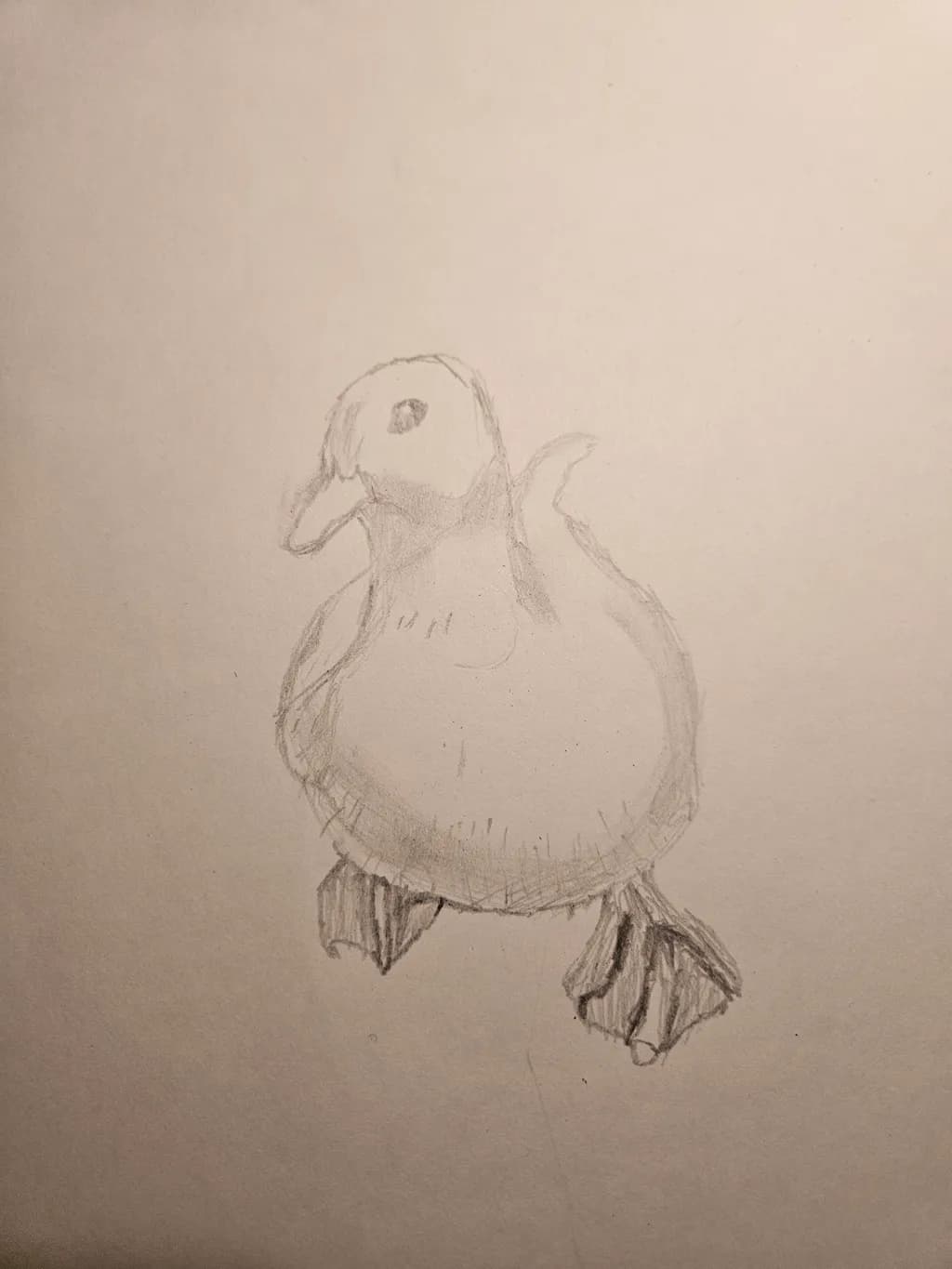 Duckling Sketch