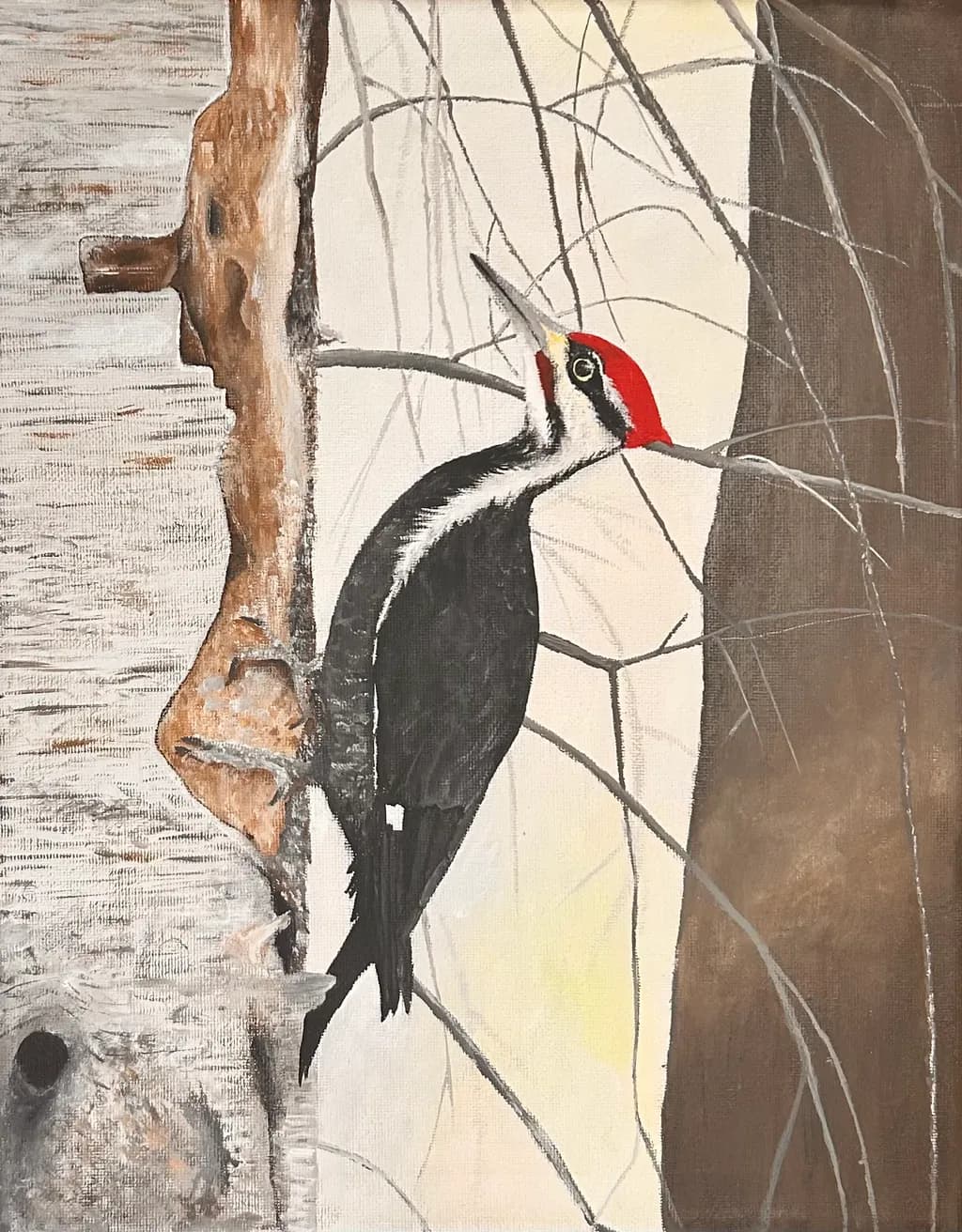 Pileated Woodpecker on Tree