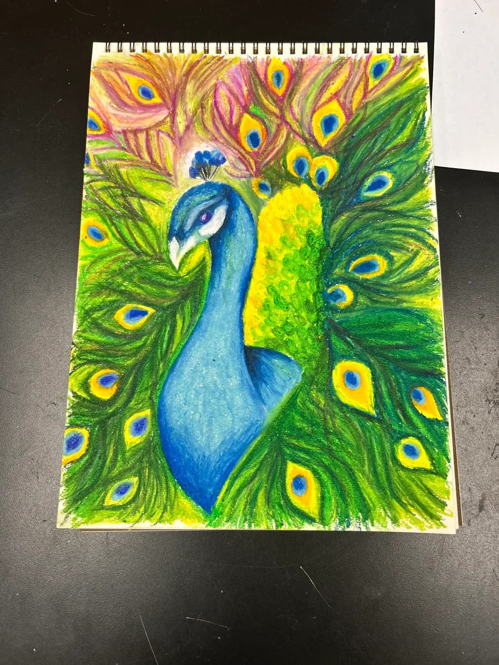 Peacock Display