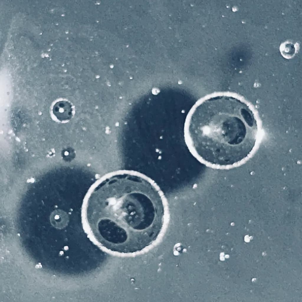 Floating Bubbles