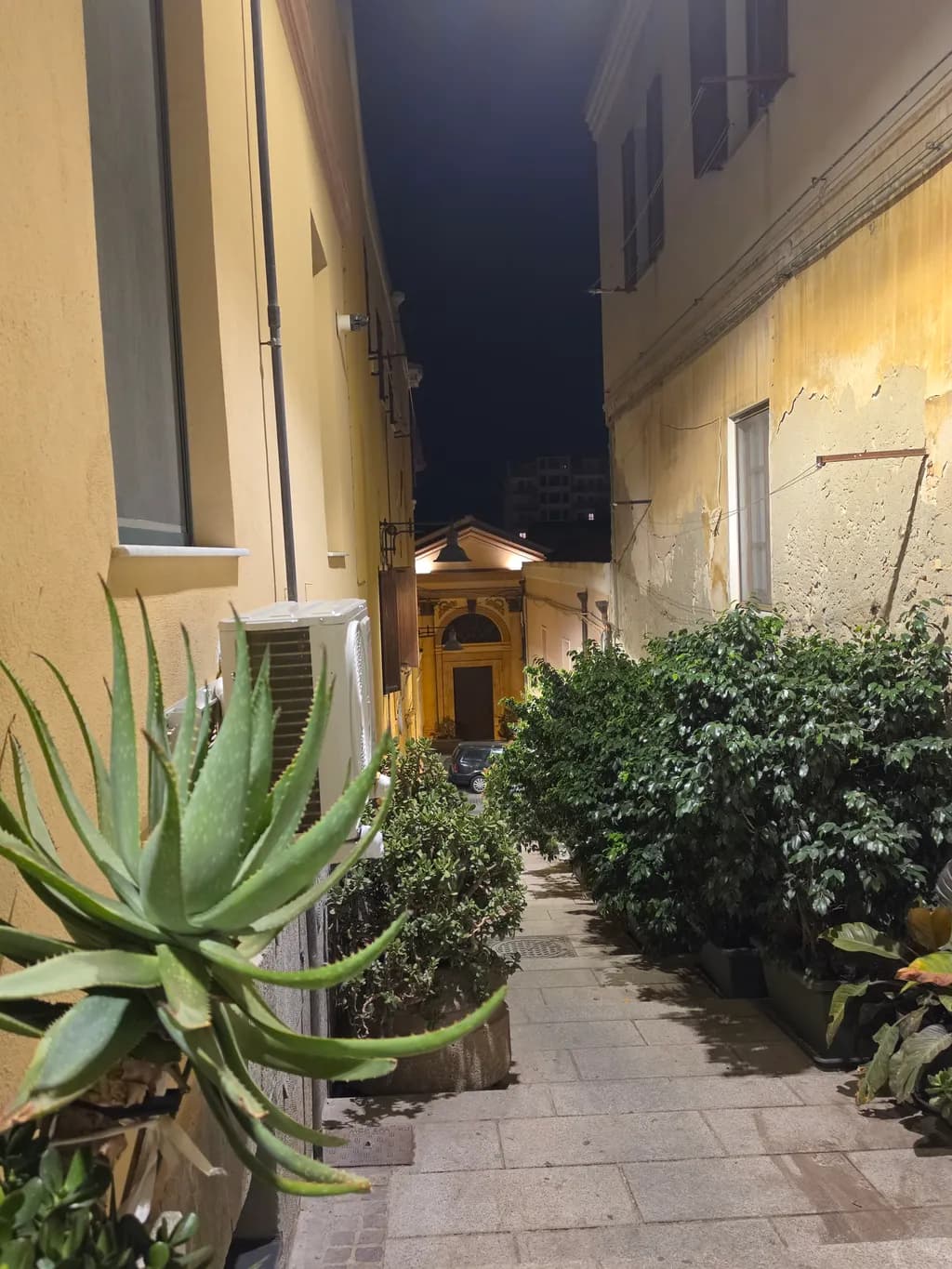 Night Alley View