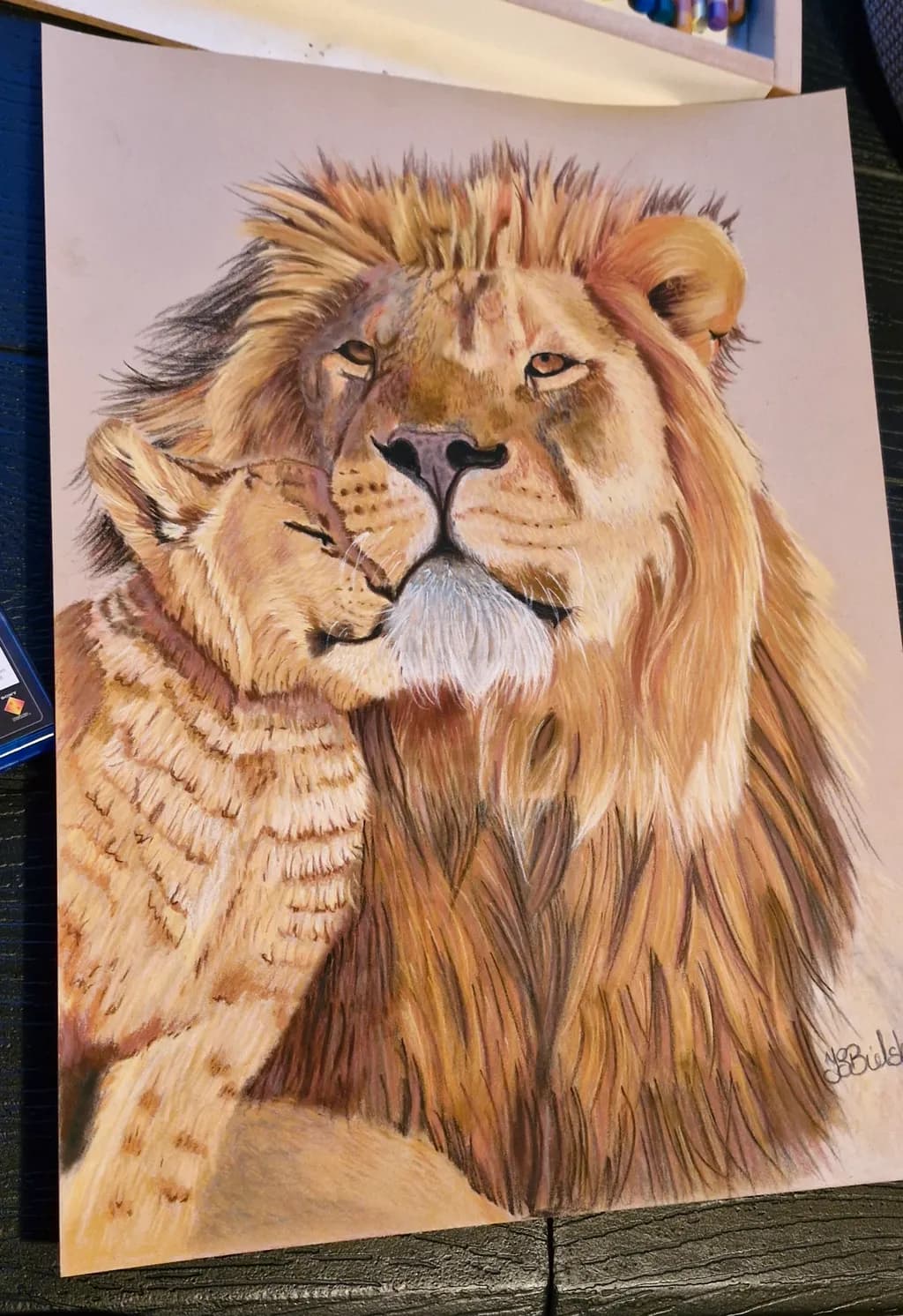 Lion and Cub Embrace