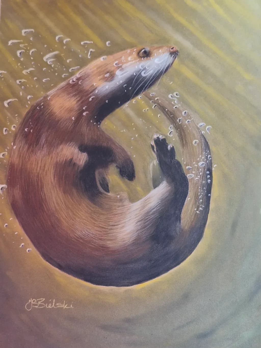Underwater Otter Spin