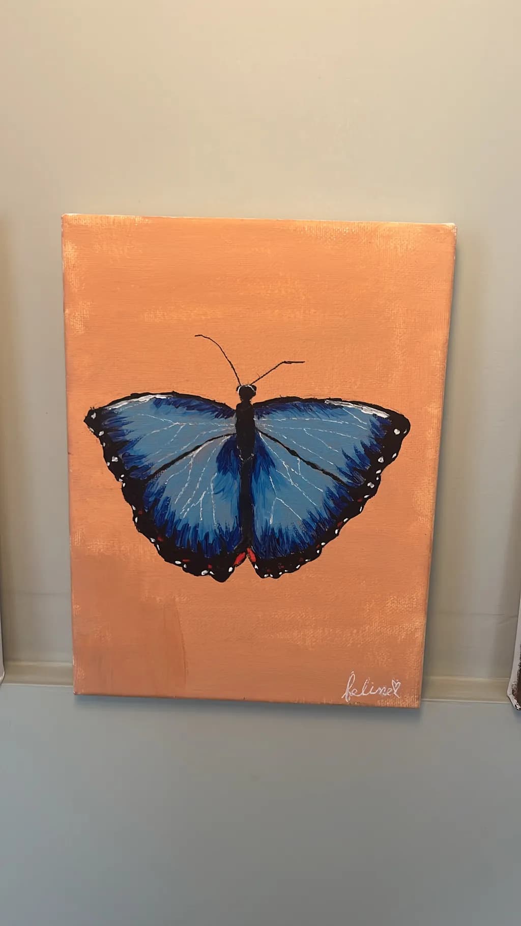 Blue Butterfly on Peach