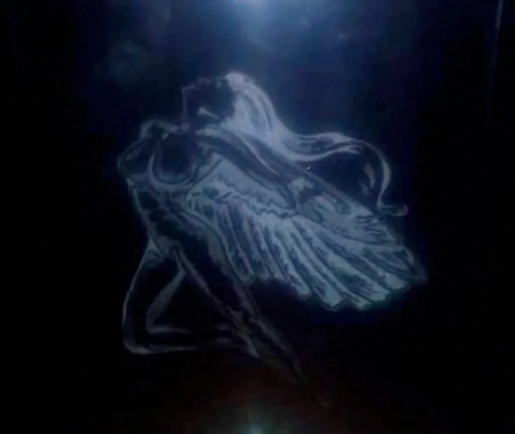 Moonlit Bloom