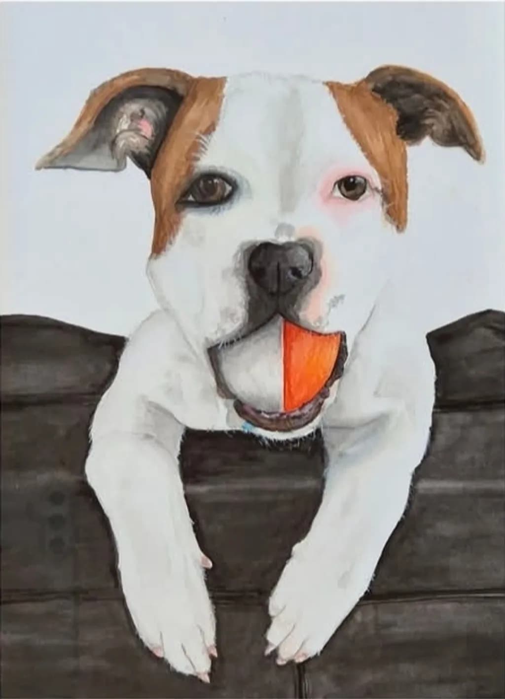 Playful Dog with Ball