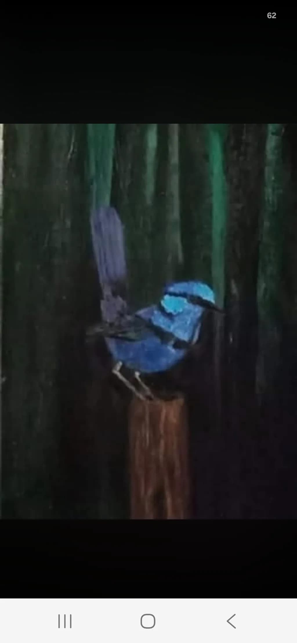 Blue Bird on Forest Stump