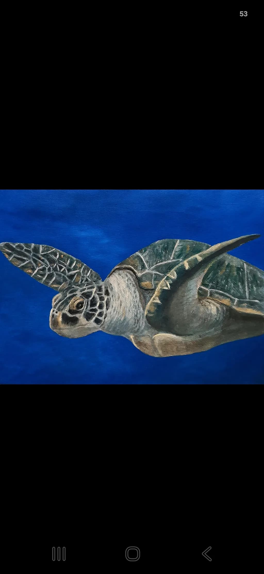 Sea Turtle in Blue Ocean