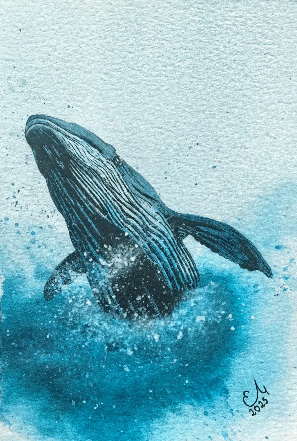 Leaping Whale