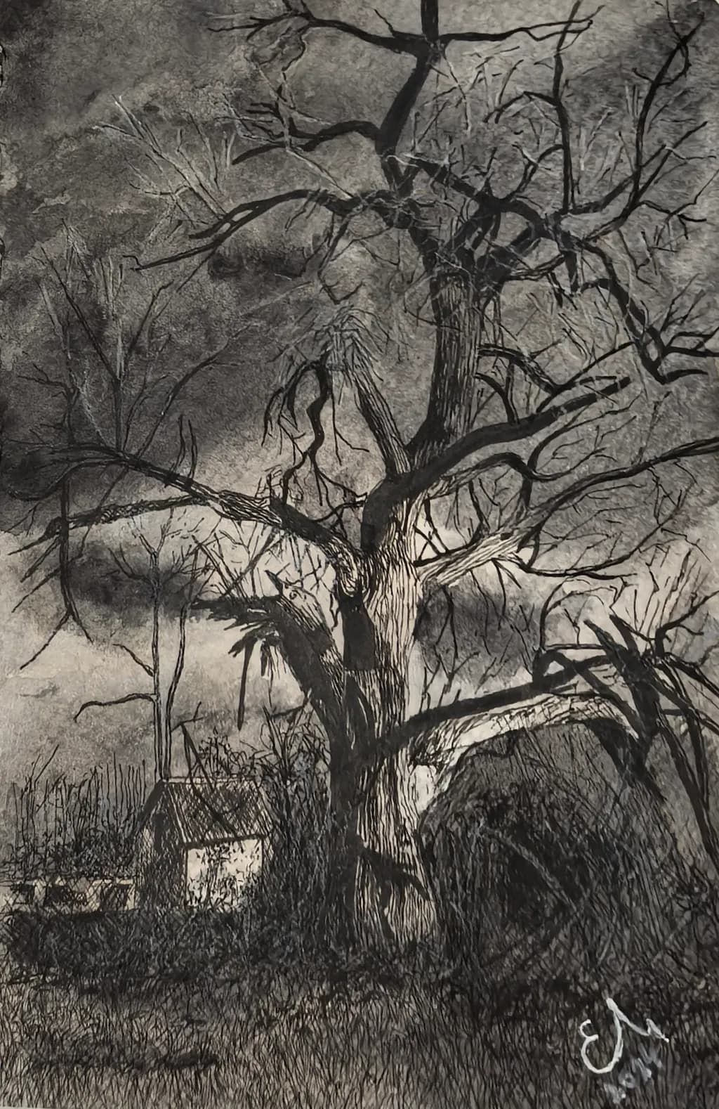 Shadowed Tree and House