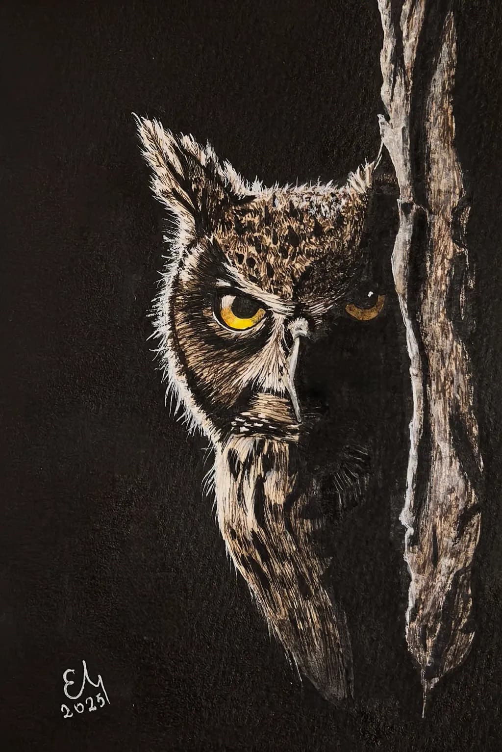 Owl in Shadow