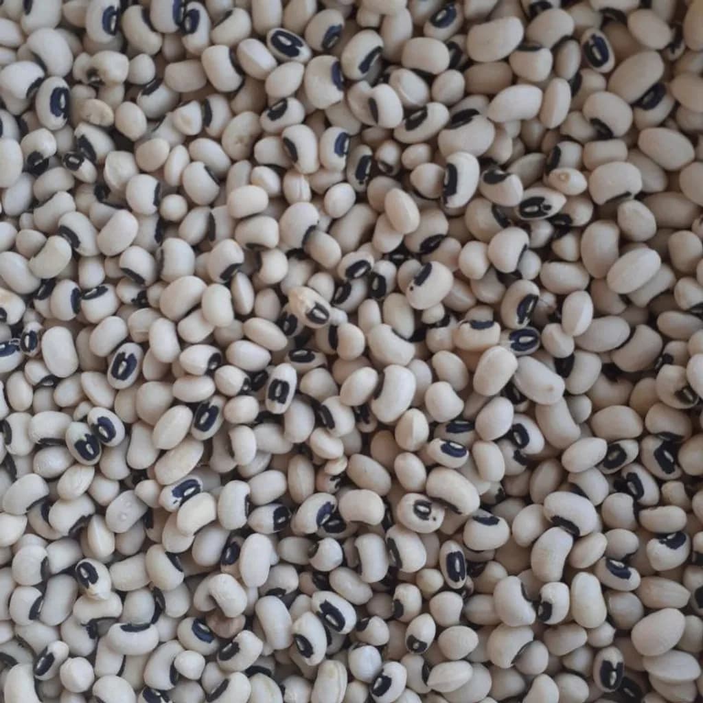 Black-Eyed Peas Pattern