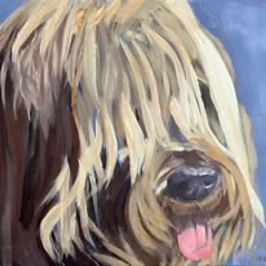 Long-Haired Dog Portrait