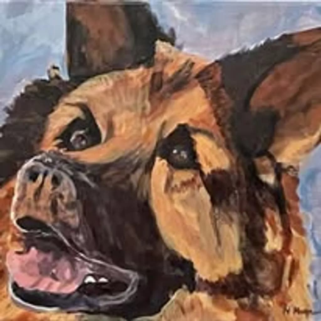Wild Dog Portrait