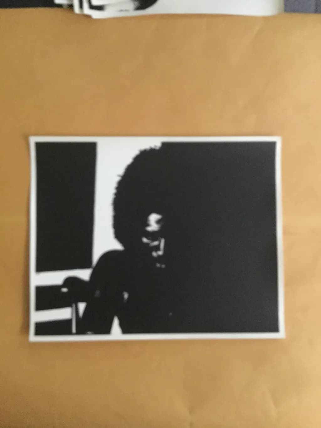 Shadowed Silhouette