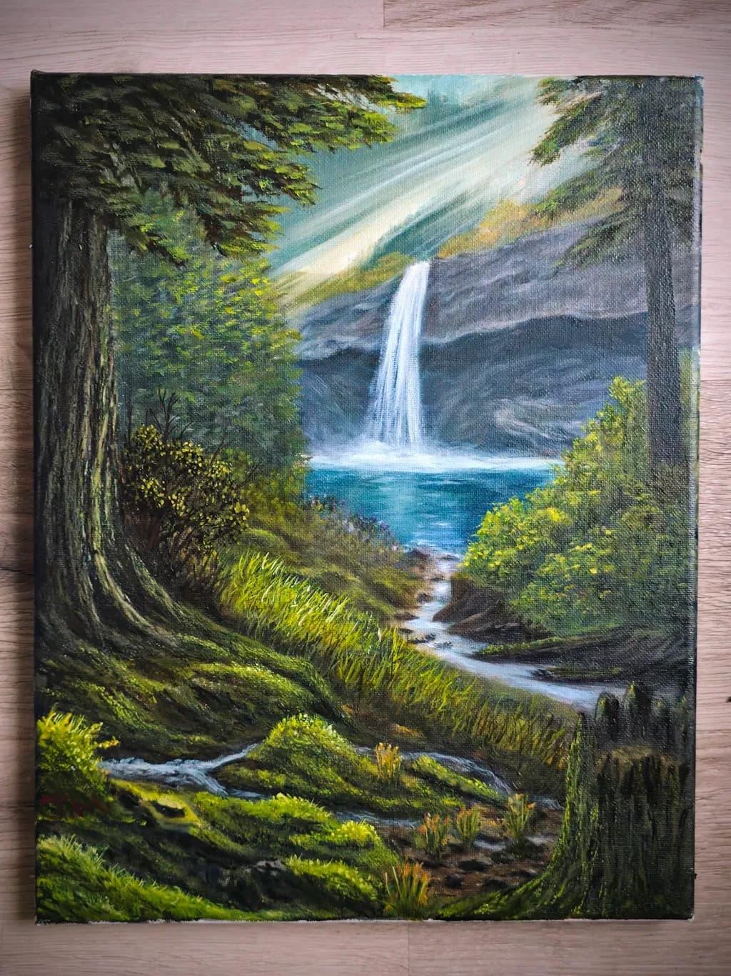 Forest Waterfall View