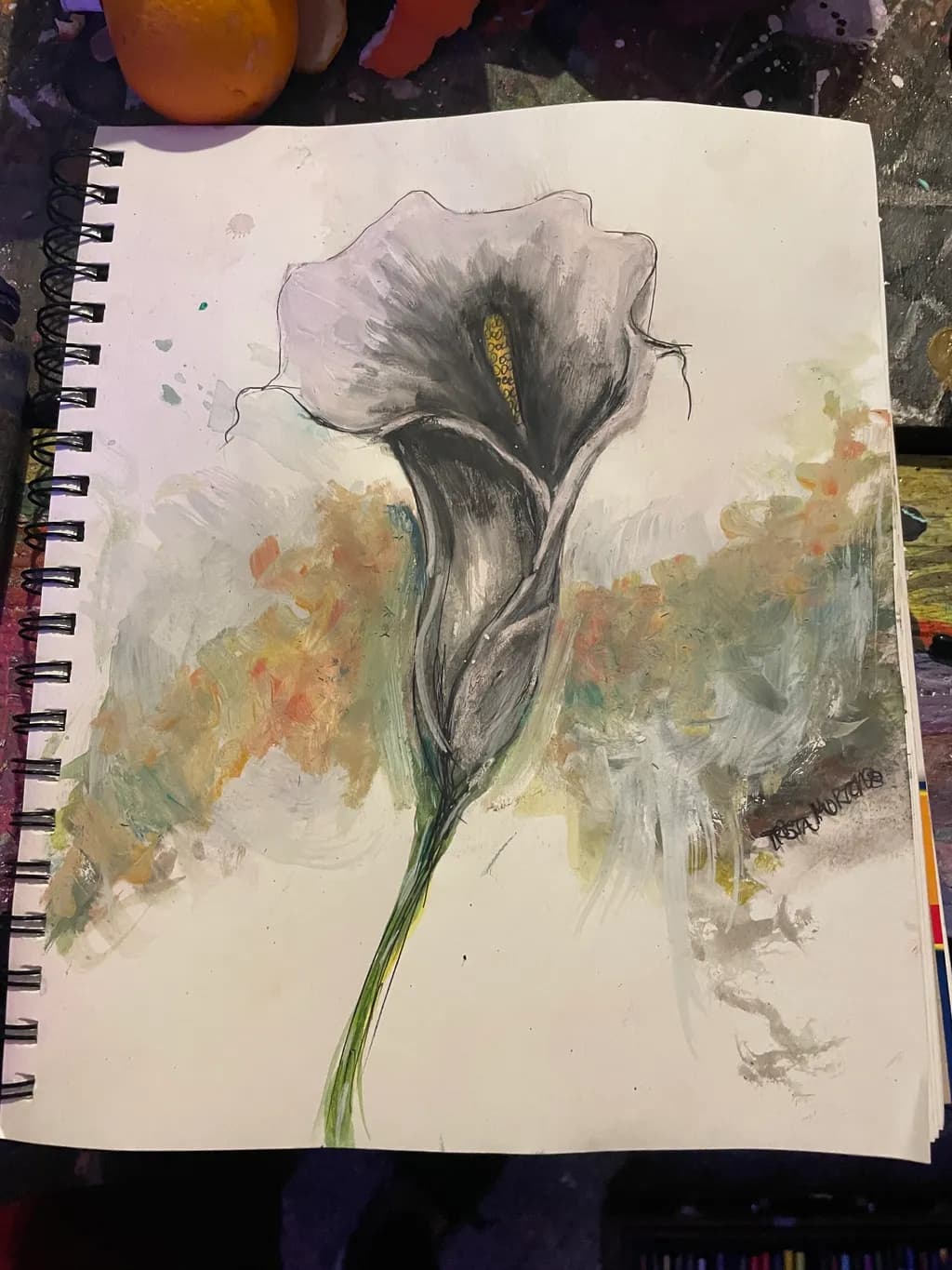 Calla Lily Study