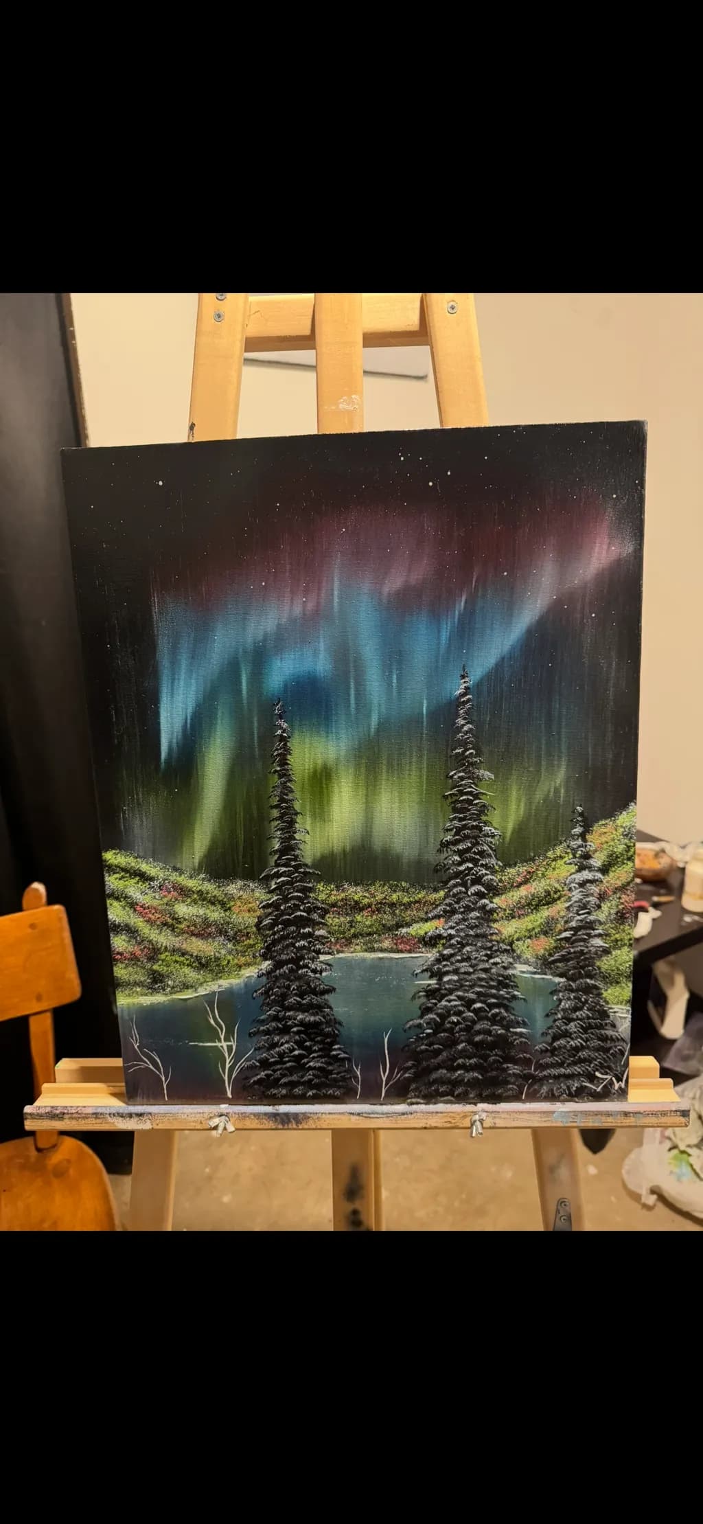 Northern Lights Over Lake Pines