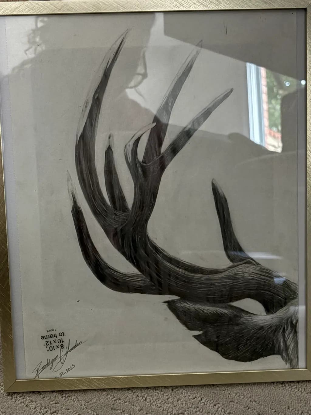 Antler Curve