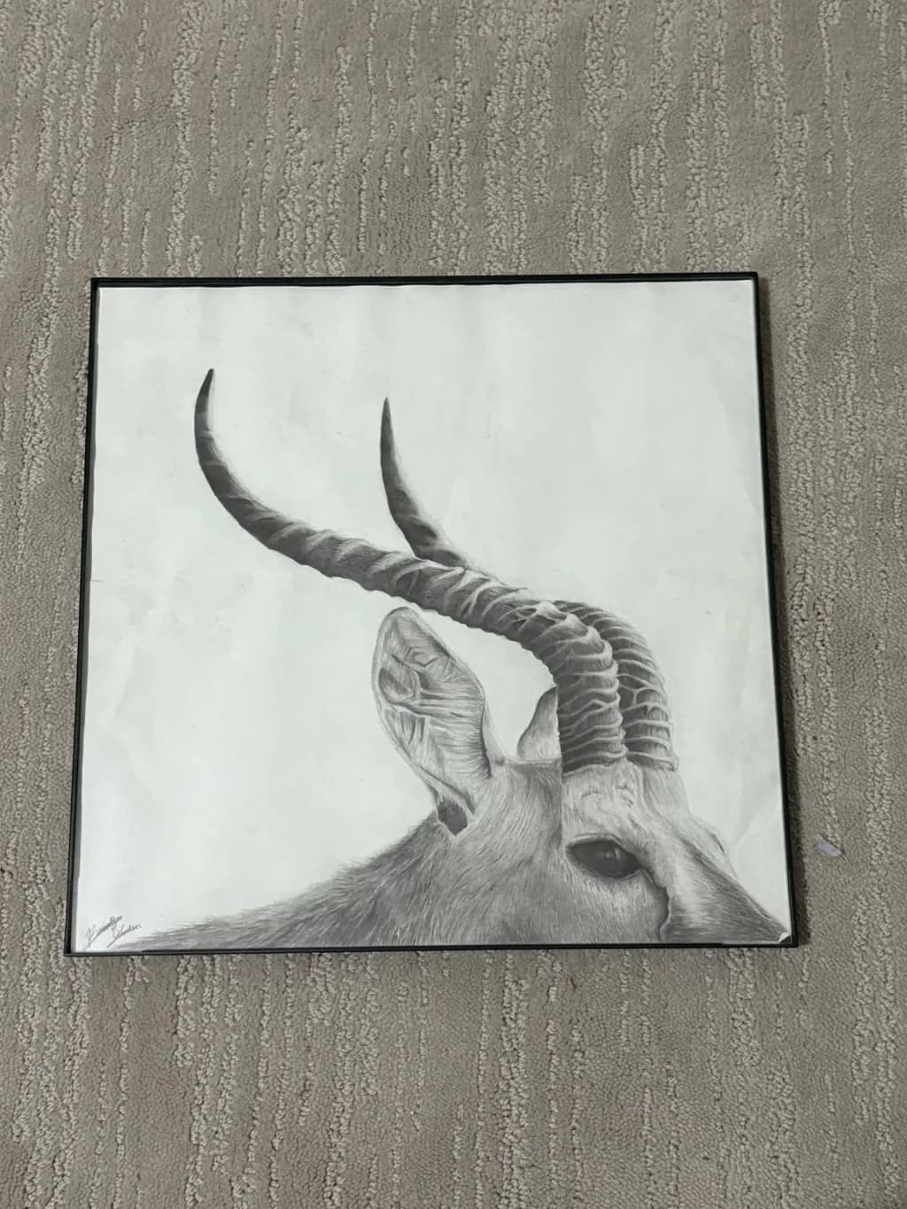 Antelope Profile