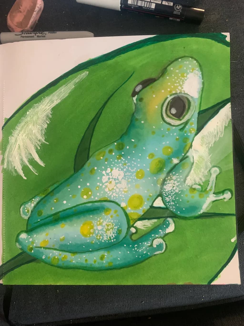 Spotted Tree Frog
