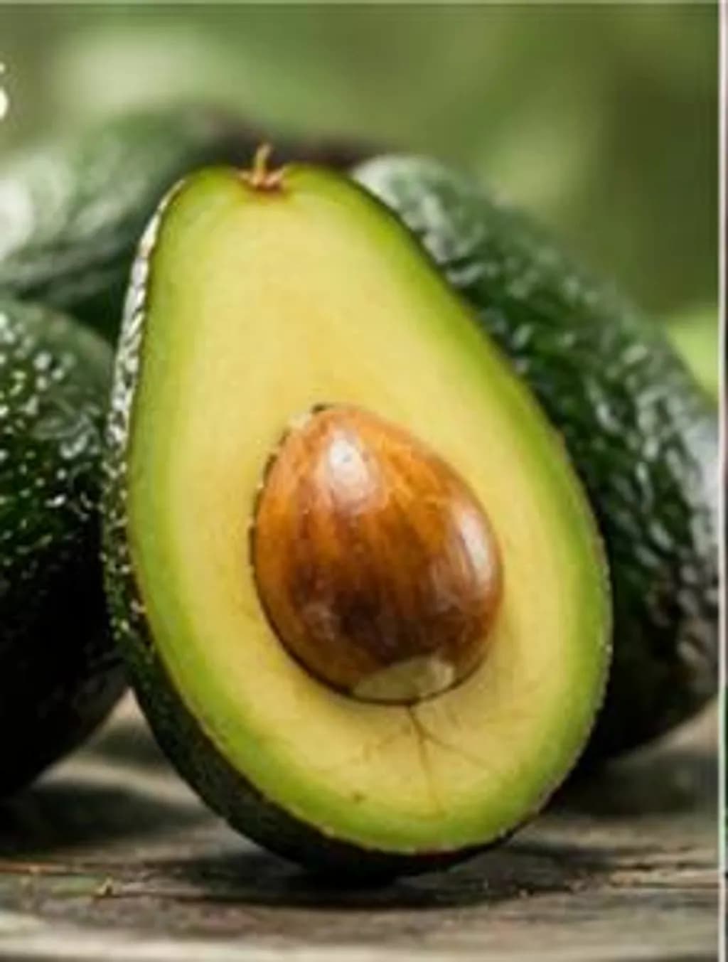 Avocado Slice